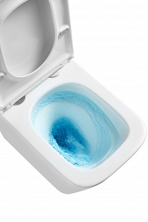 Подвесной унитаз безободковый Terminus Ватикан Monolit 490х340 белый Братск - фото 8 Подвесной унитаз безободковый Terminus Ватикан Monolit 490х340 белый Братск - фото 8