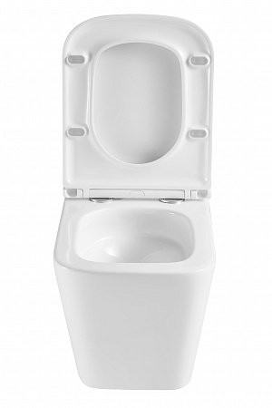 Подвесной унитаз безободковый Terminus Ватикан Monolit 490х340 белый Братск - фото 7 Подвесной унитаз безободковый Terminus Ватикан Monolit 490х340 белый Братск - фото 7