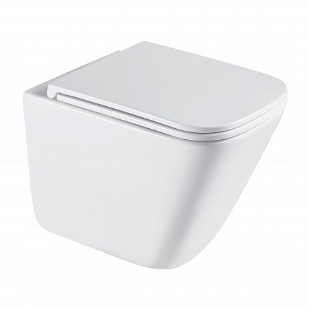 Подвесной унитаз безободковый Terminus Ватикан Monolit 490х340 белый Братск - фото 2 Подвесной унитаз безободковый Terminus Ватикан Monolit 490х340 белый Братск - фото 2