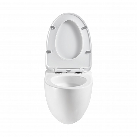 Подвесной унитаз безободковый Terminus Енисей Monolit 560х390 белый Братск - фото 5