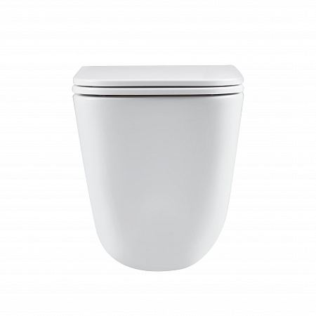 Подвесной унитаз безободковый Terminus Ватикан Monolit 490х340 белый Братск - фото 6 Подвесной унитаз безободковый Terminus Ватикан Monolit 490х340 белый Братск - фото 6