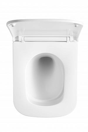 Подвесной унитаз безободковый Terminus Ватикан Monolit 490х340 белый Братск - фото 3 Подвесной унитаз безободковый Terminus Ватикан Monolit 490х340 белый Братск - фото 3